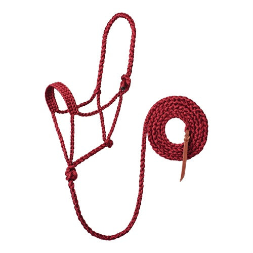 Weaver Braided  Mule Tape Halter with 6' Lead