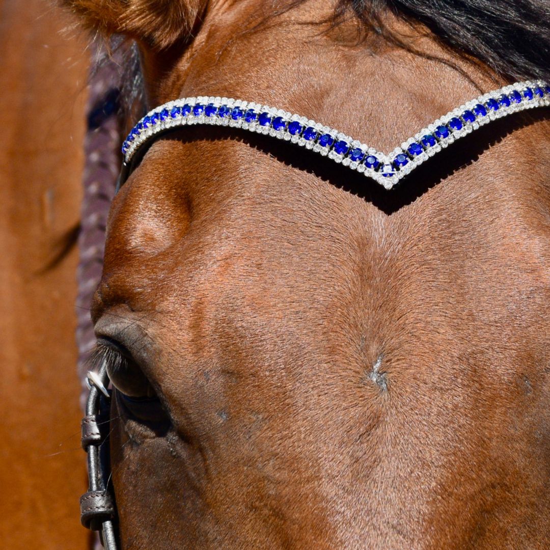 Blue Astra Browband