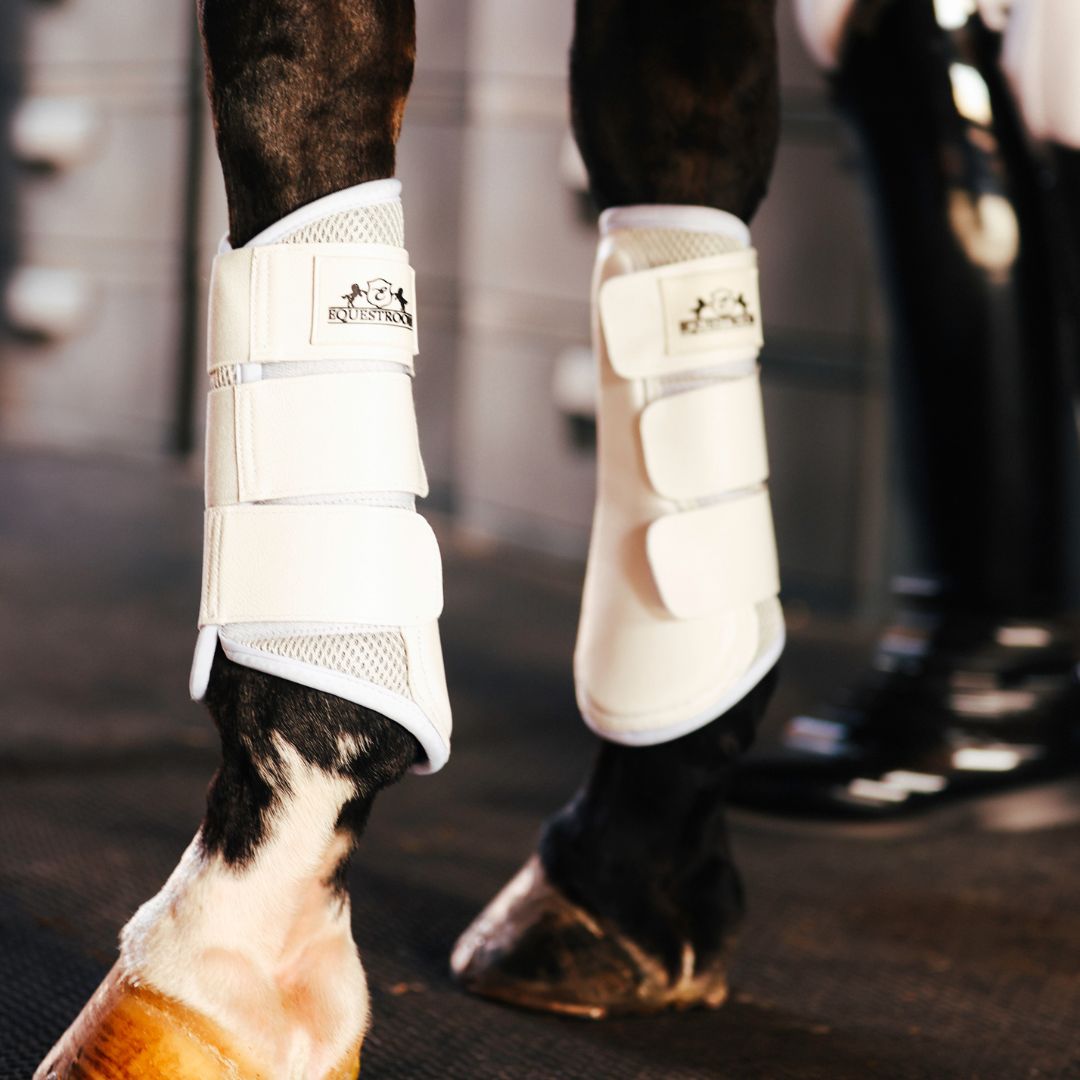 B&W - White Brushing Boots (Set of 4)