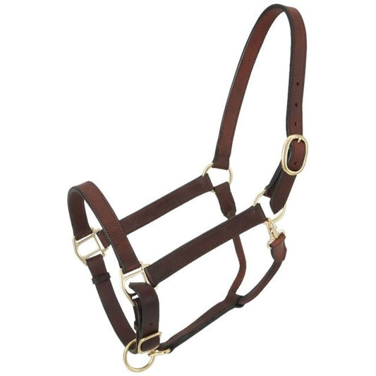 Royal King Churchill Stable Halter with Snap - Yearling