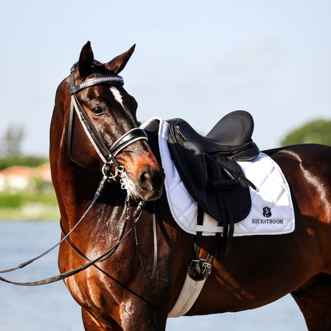 B&W - White Saddle Pad