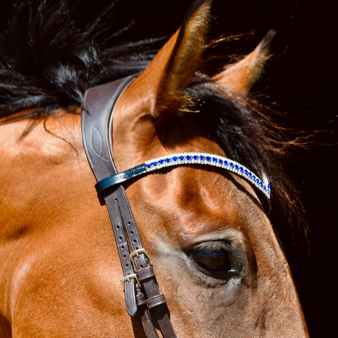 Blue Astra Browband