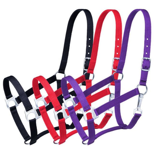 Tough1 Economy Horse Halter - 3 Pack