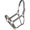 Tough1 Premium Nylon Halter and Lead with Rose Gold Hardware