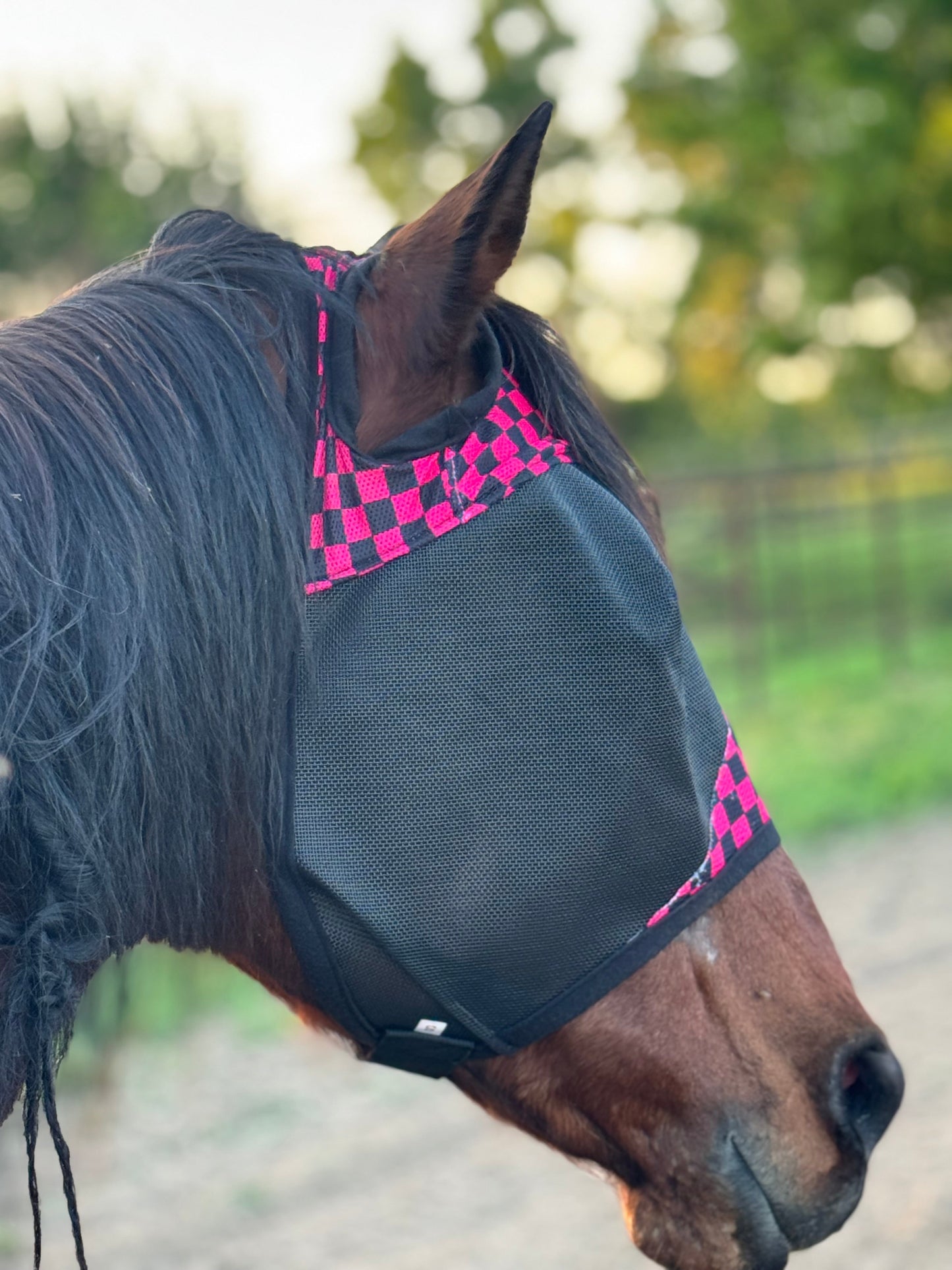 Fly Mask