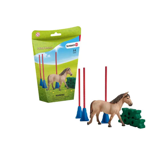 Pony Slalom Toy