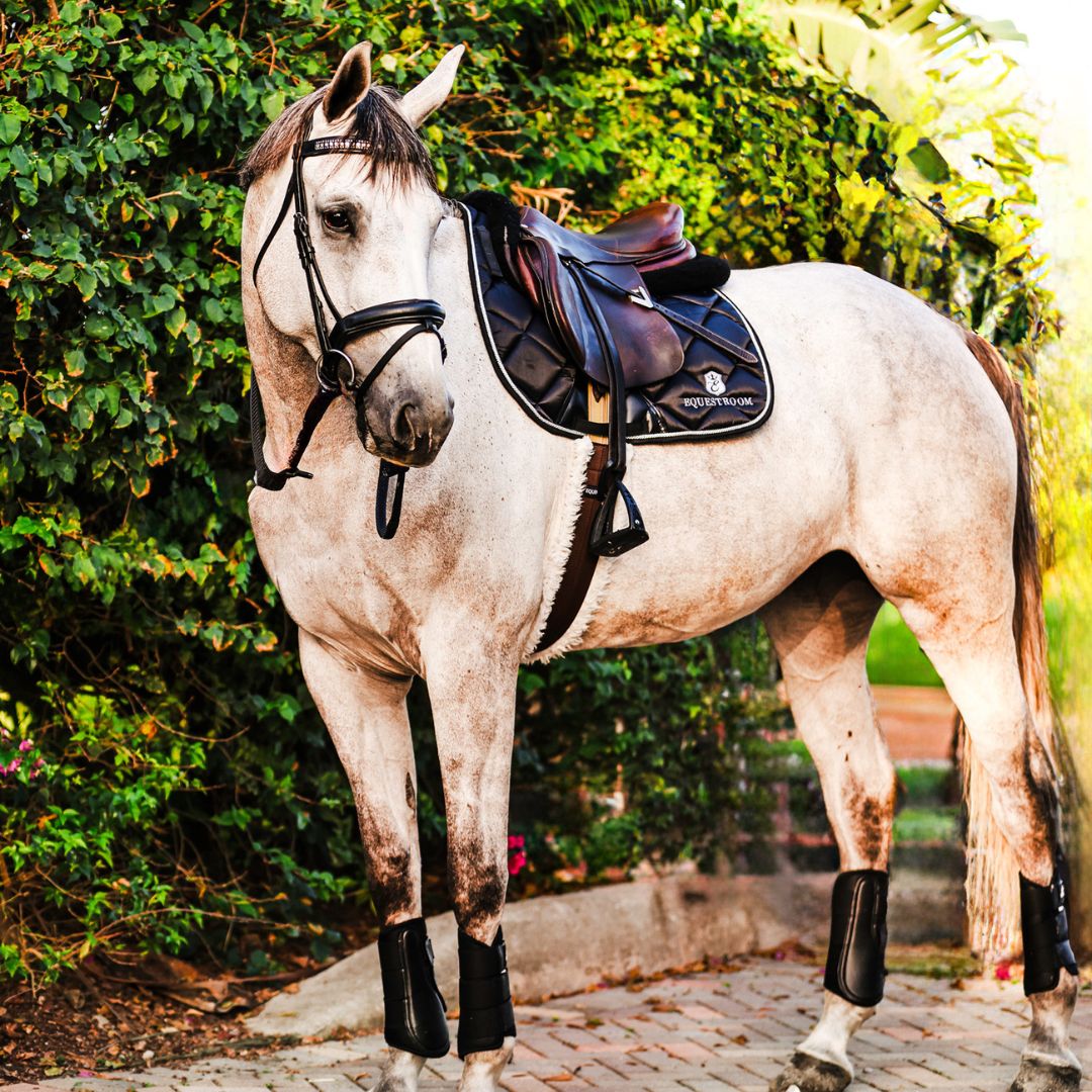 B&W - Black Brushing Boots (Set of 4)