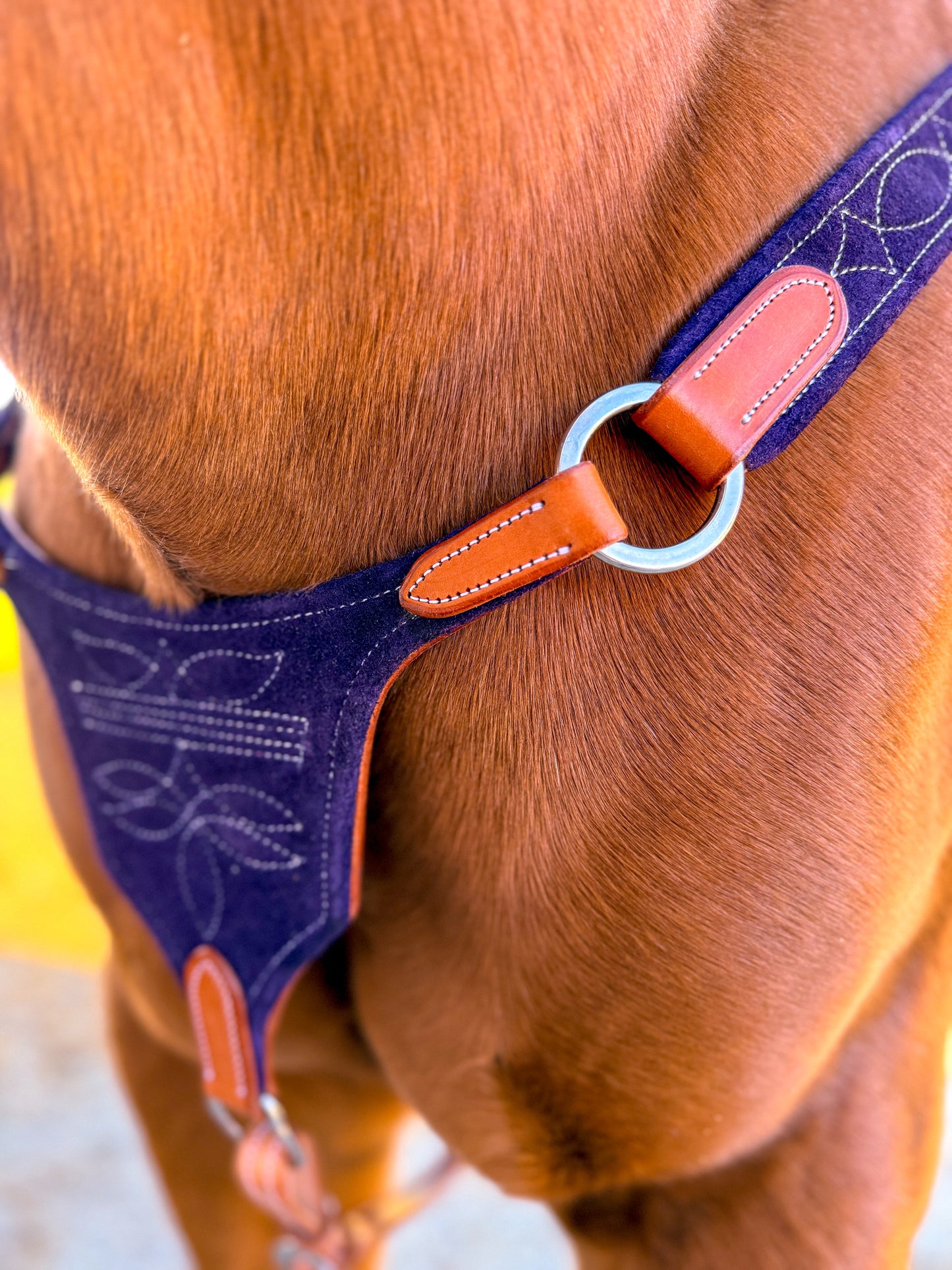 Berry Purple Suede Bootstitch Breast Collar