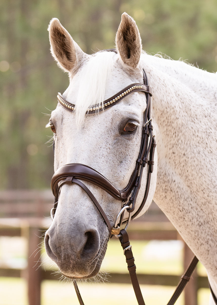 Hidden Flash!  Pro-Fit Comfortable Bridle in Havana Brown or Black with Flash Noseband and Clincher Browband