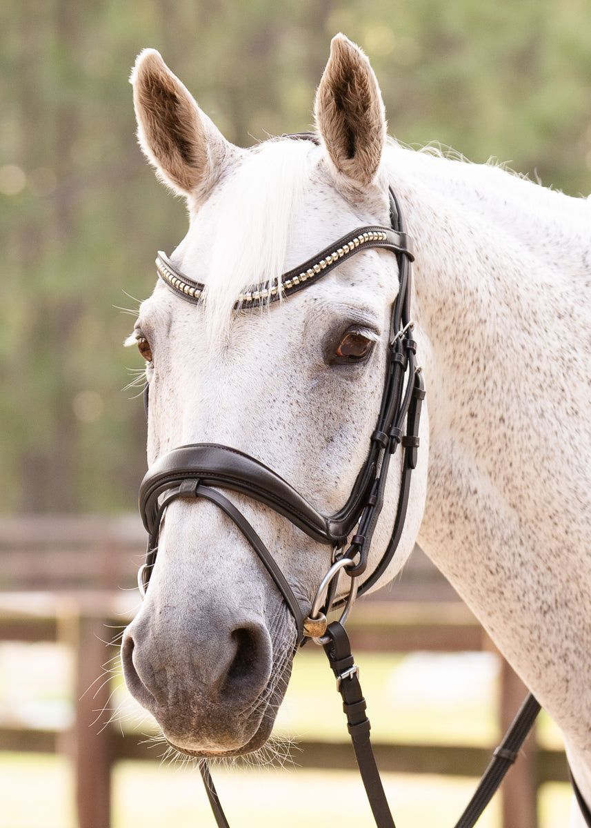 Hidden Flash!  Pro-Fit Comfortable Bridle in Havana Brown or Black with Flash Noseband and Clincher Browband