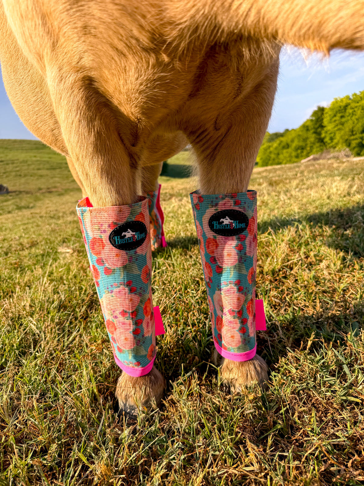 Sunday Brunch Stomp Stopper Fly Boots