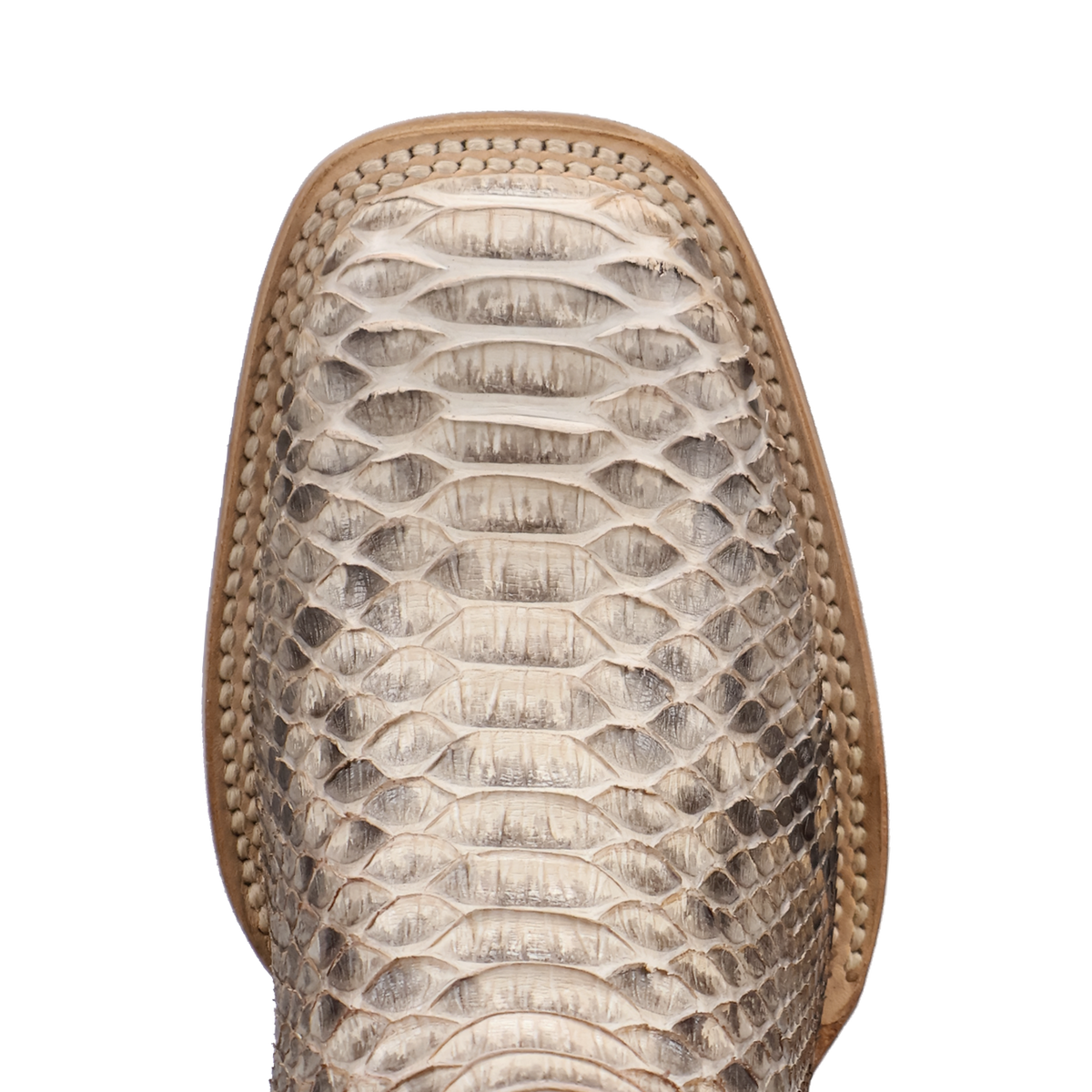 Dan Post Ladies Exotic Boot - Amara Python