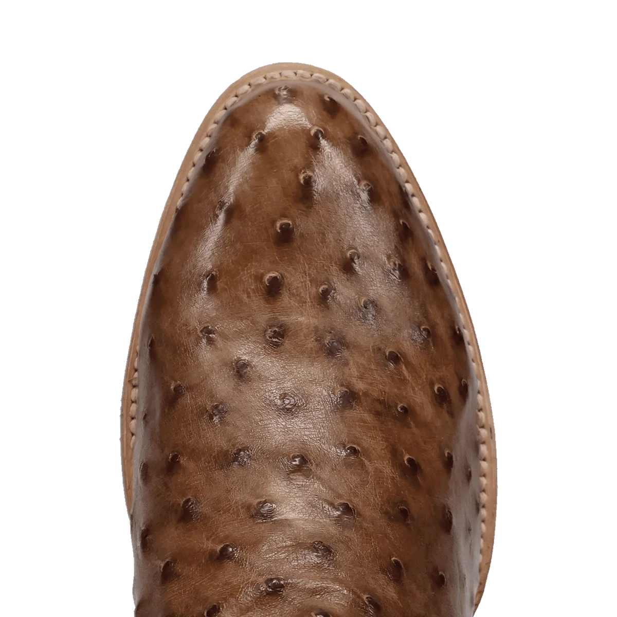 Dan Post Mens Full Quill Ostrich Boot - Gauge