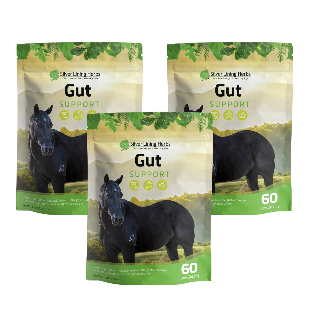 Gut Support for Horses