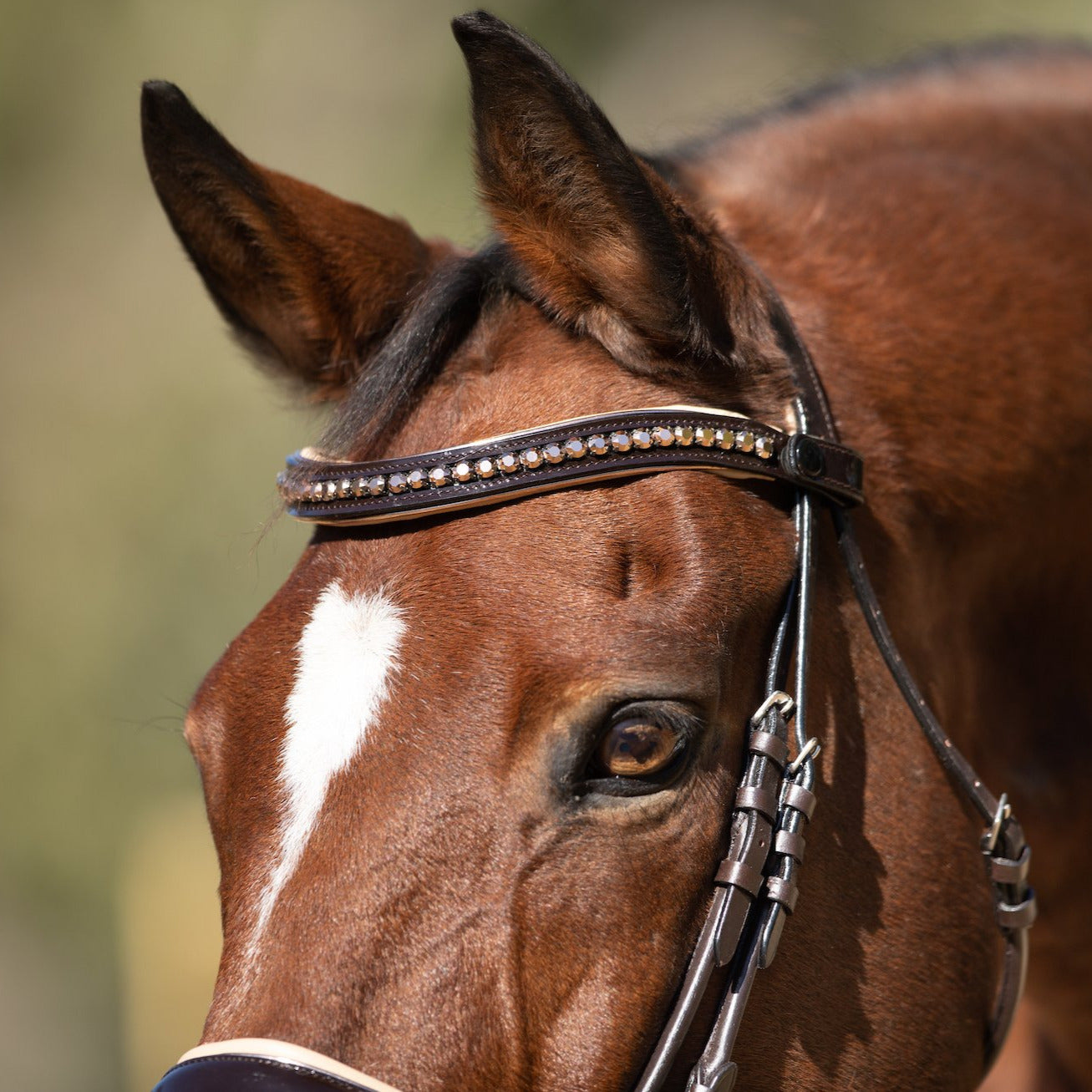 Florentina - Brown Patent Leather Snaffle with Cream Padding & Rose Gold Piping