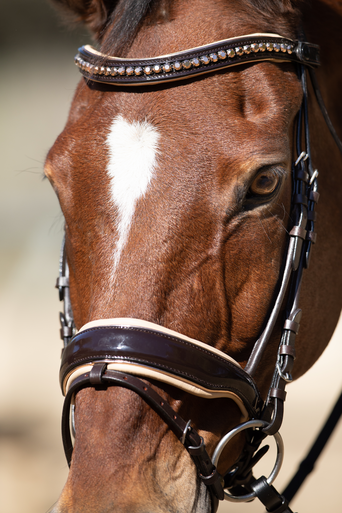 Florentina - Brown Patent Leather Snaffle with Cream Padding & Rose Gold Piping