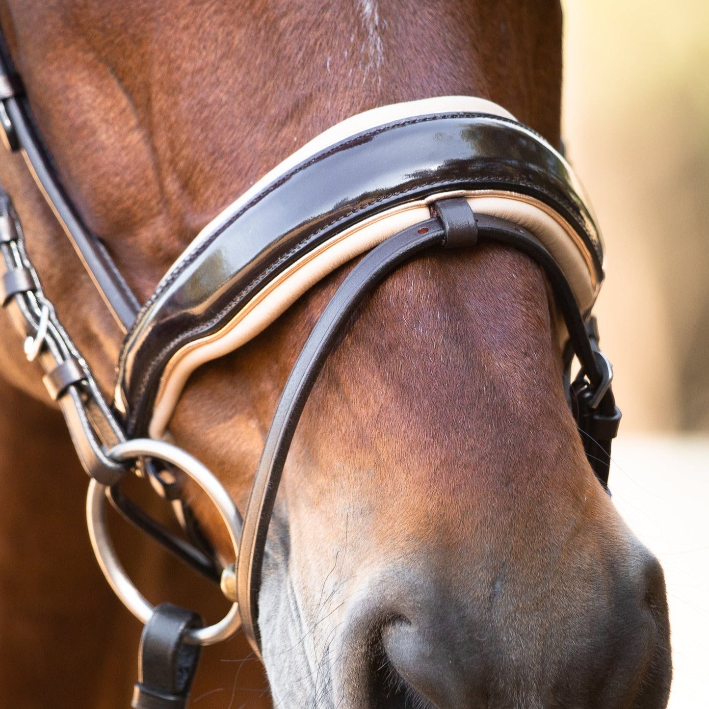 Florentina - Brown Patent Leather Snaffle with Cream Padding & Rose Gold Piping