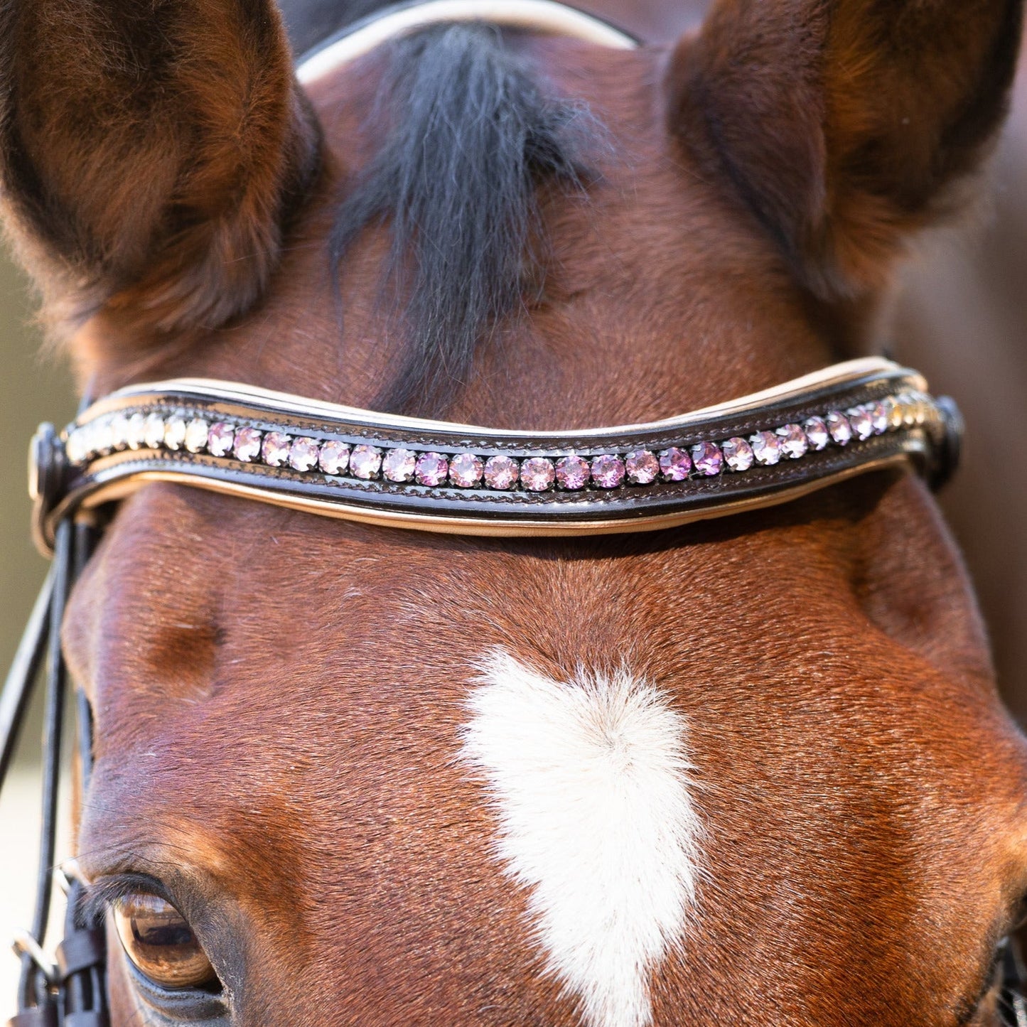 Florentina - Brown Patent Leather Snaffle with Cream Padding & Rose Gold Piping