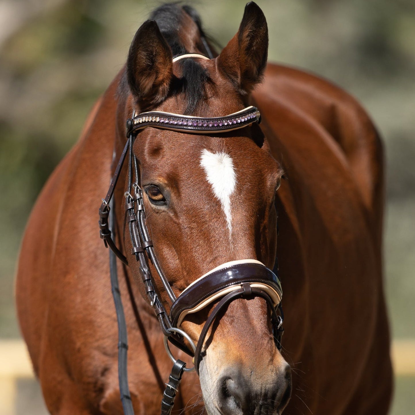 Florentina - Brown Patent Leather Snaffle with Cream Padding & Rose Gold Piping
