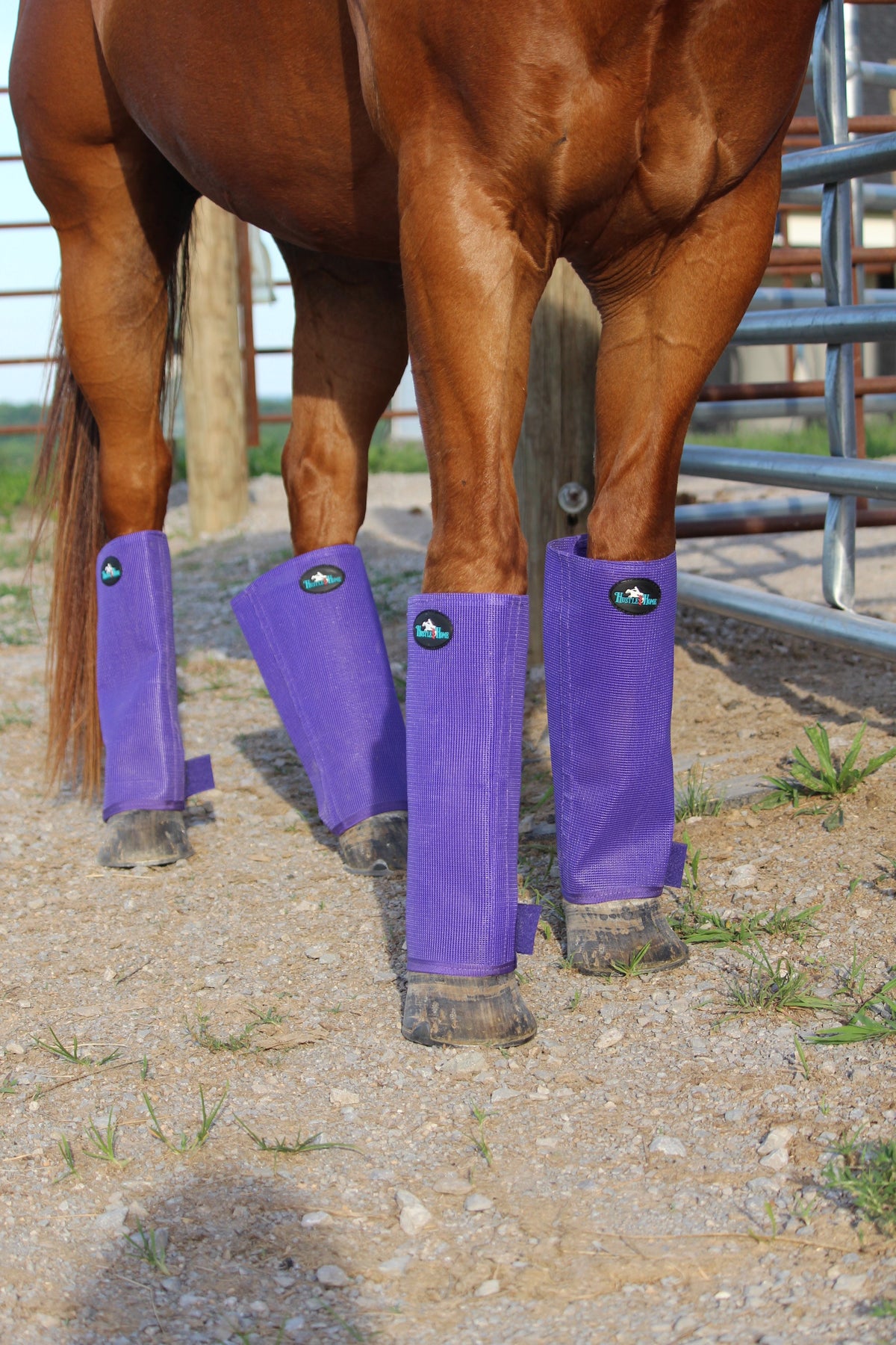 Classic Purple Stomp Stopper Fly Boots