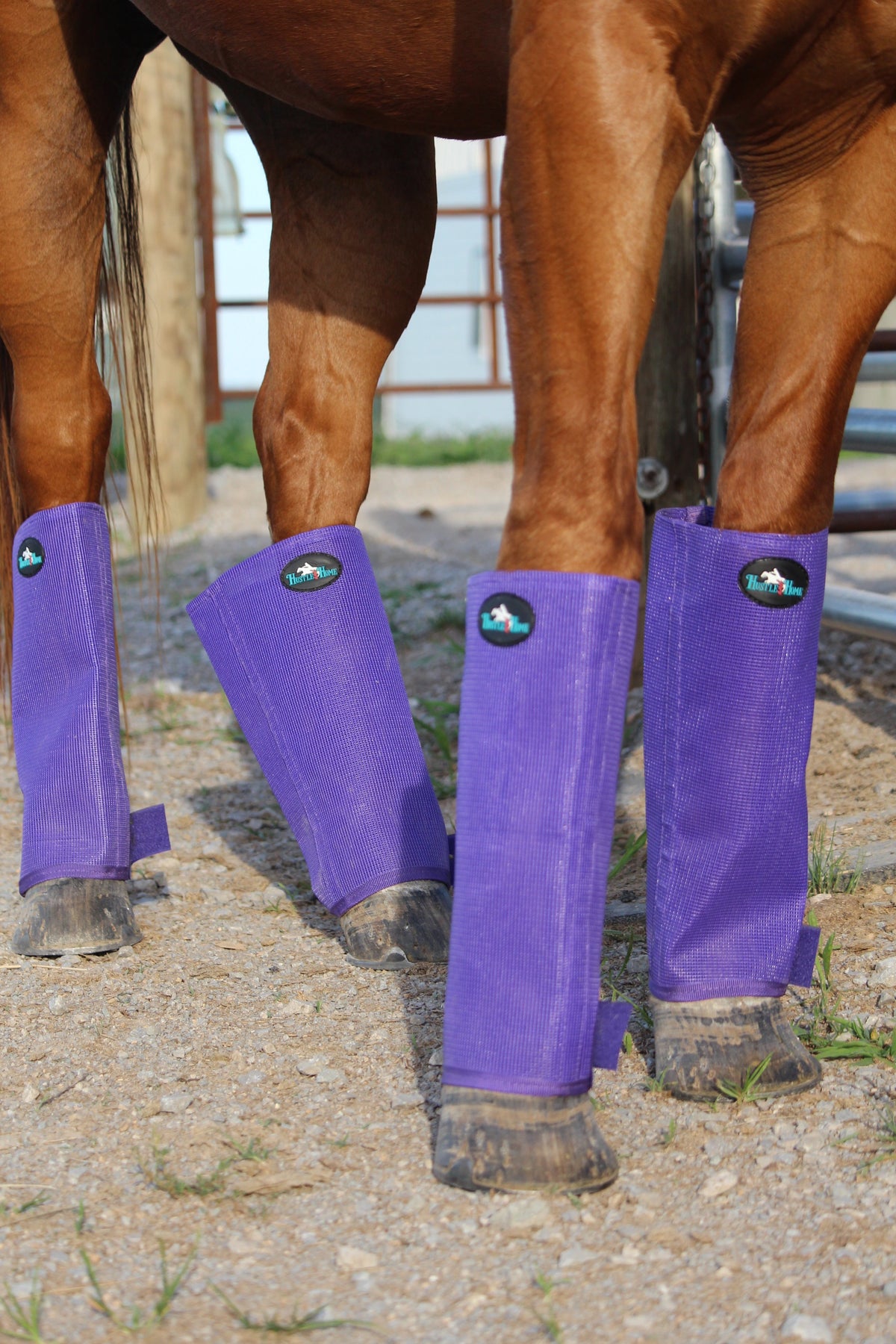 Classic Purple Stomp Stopper Fly Boots