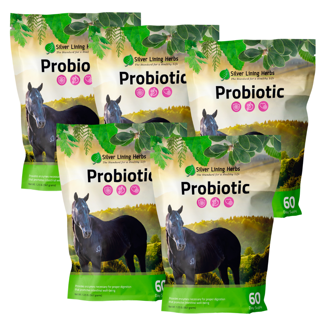 Horse Probiotics