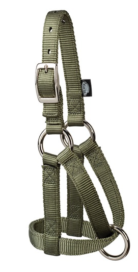 Goat Halter by Weaver