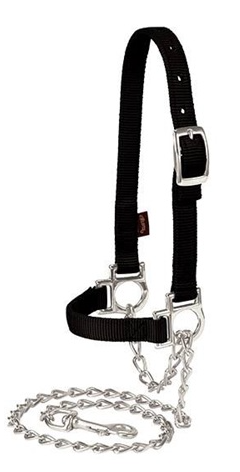 Nylon Adjustable Sheep Halter with Chain Lead
