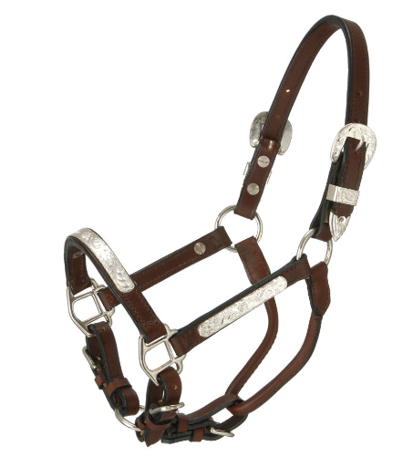 Royal King Silver Bar Show Halter - Pony