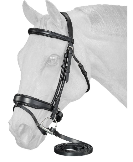 Equitare Cadence Dressage Bridle