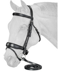 Equitare Cadence Dressage Bridle
