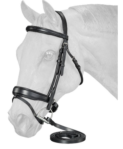 Equitare Cadence Dressage Bridle
