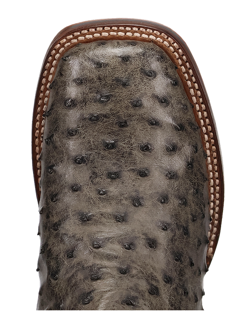 Men's Alamosa Full Quill Ostrich Boot by Dan Post