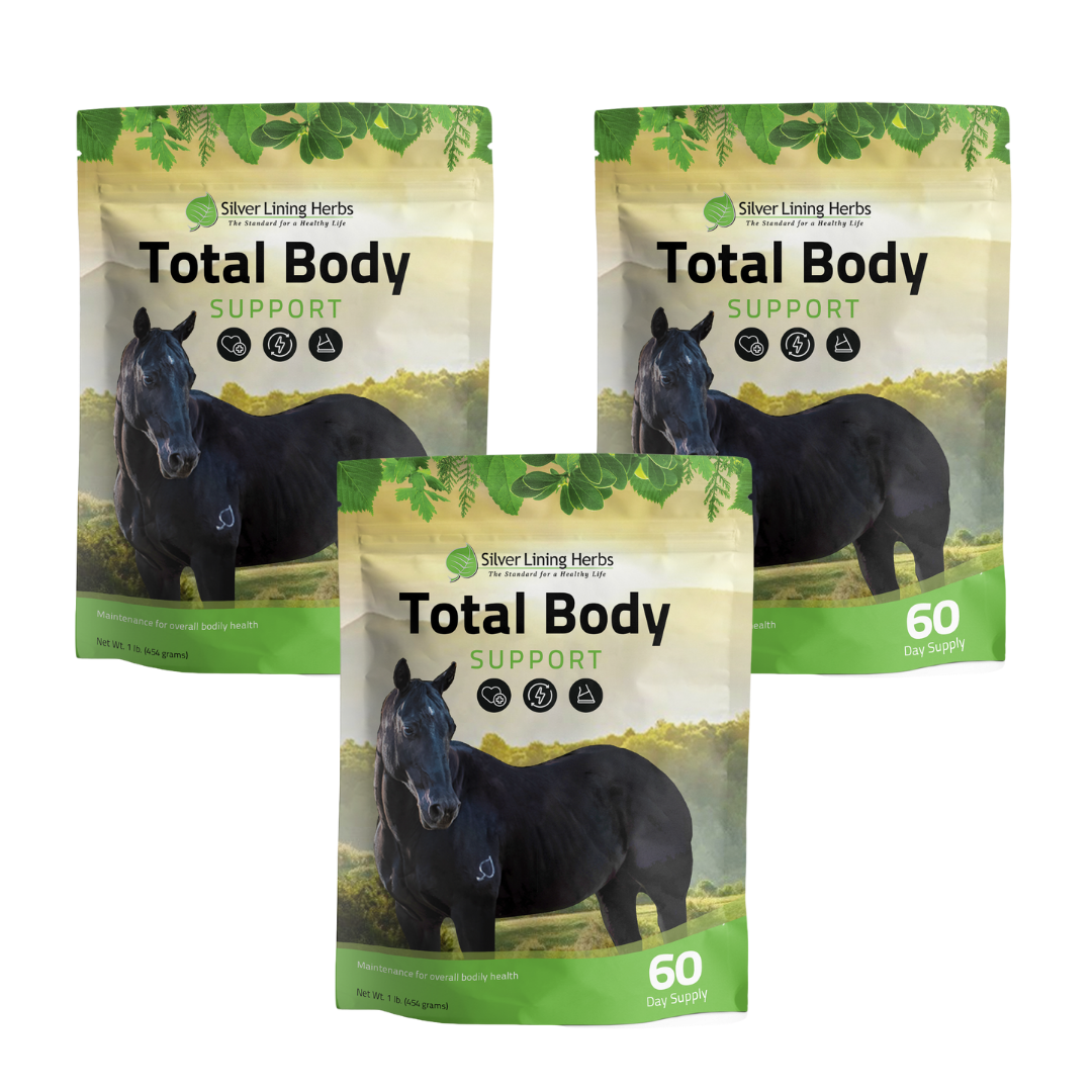 Total Body Support for Horses