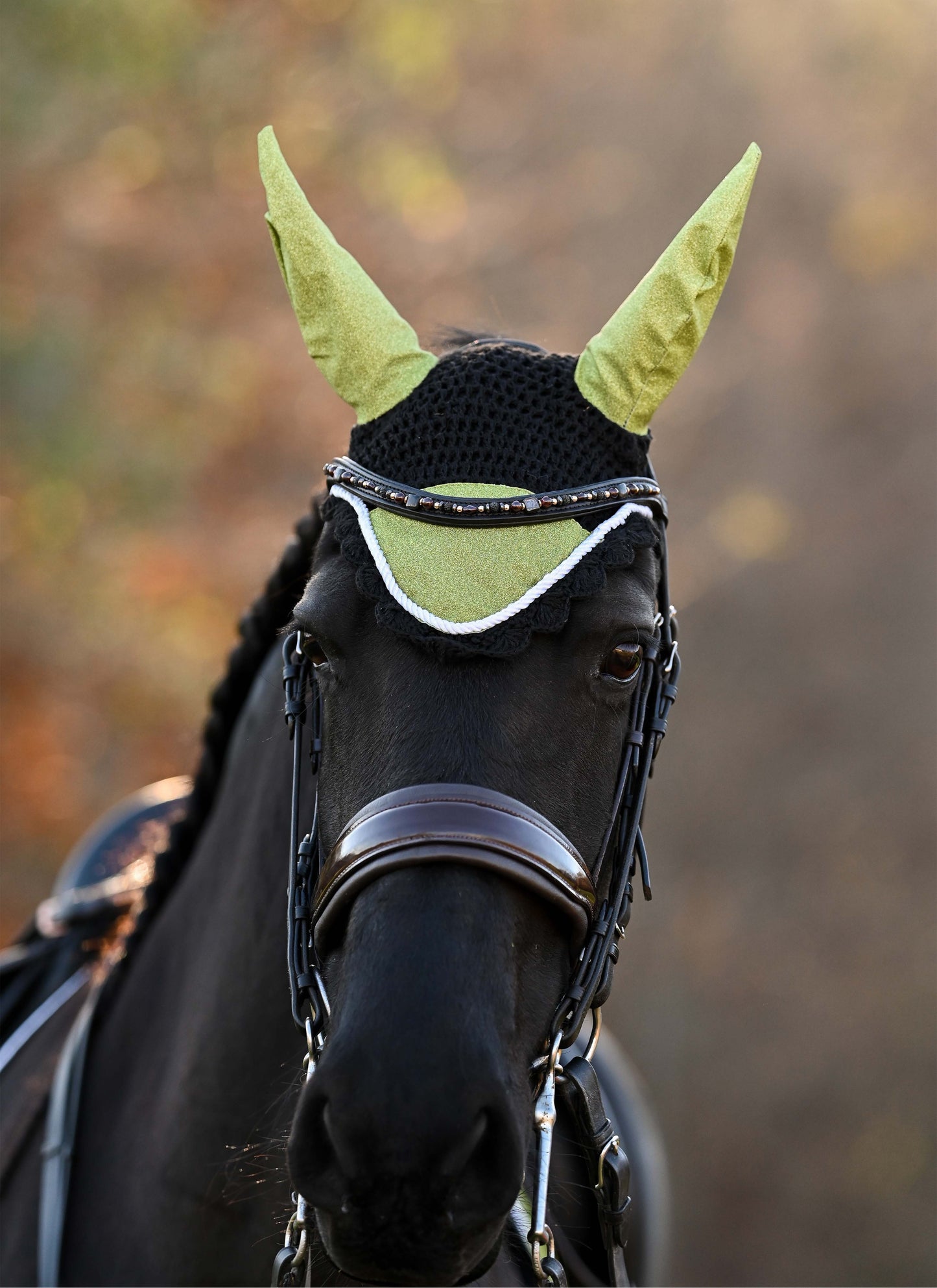 Lemongrass Saddle Pad Set