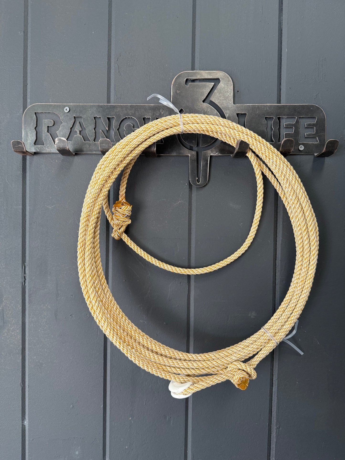 The 310 Fully Committed