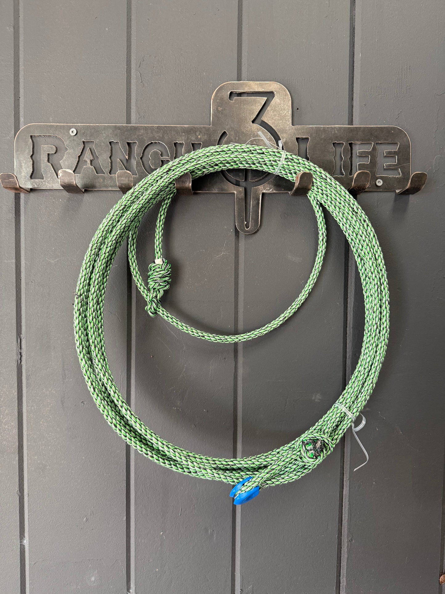 The 310 Fully Committed