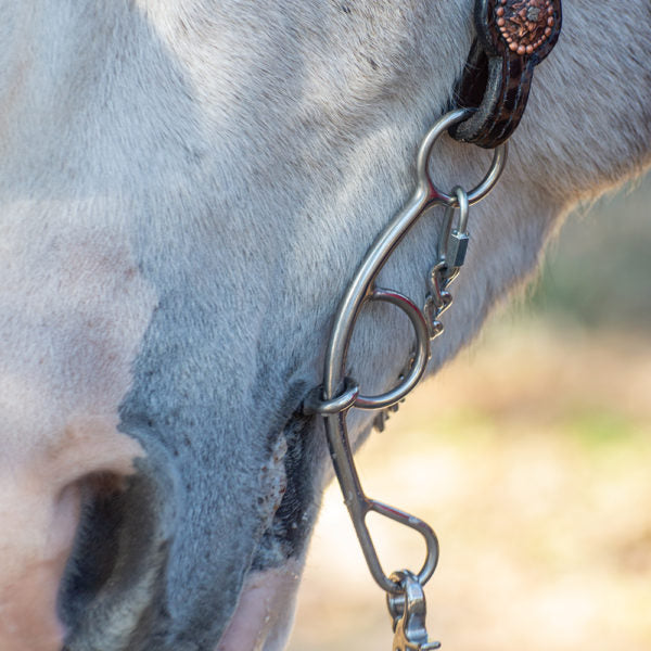 Josey-Mitchell Copper Dog Short Shank Gag Bit