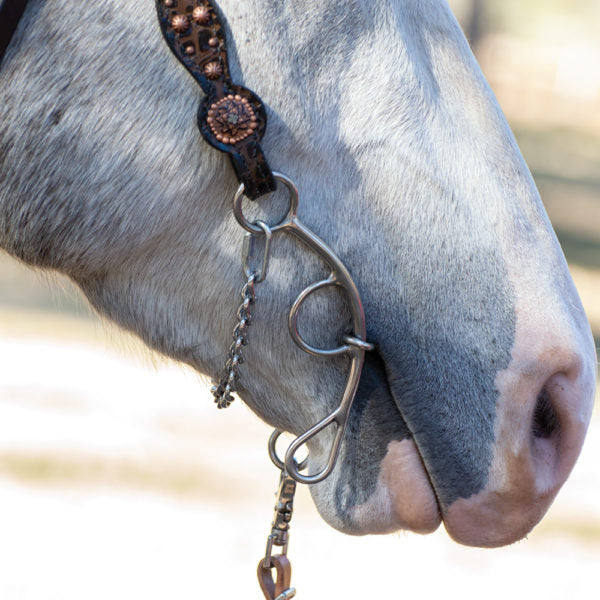 Josey-Mitchell Copper Dog Short Shank Gag Bit