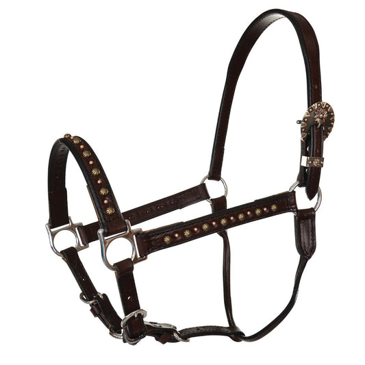 Antique Spots Halter by Circle Y