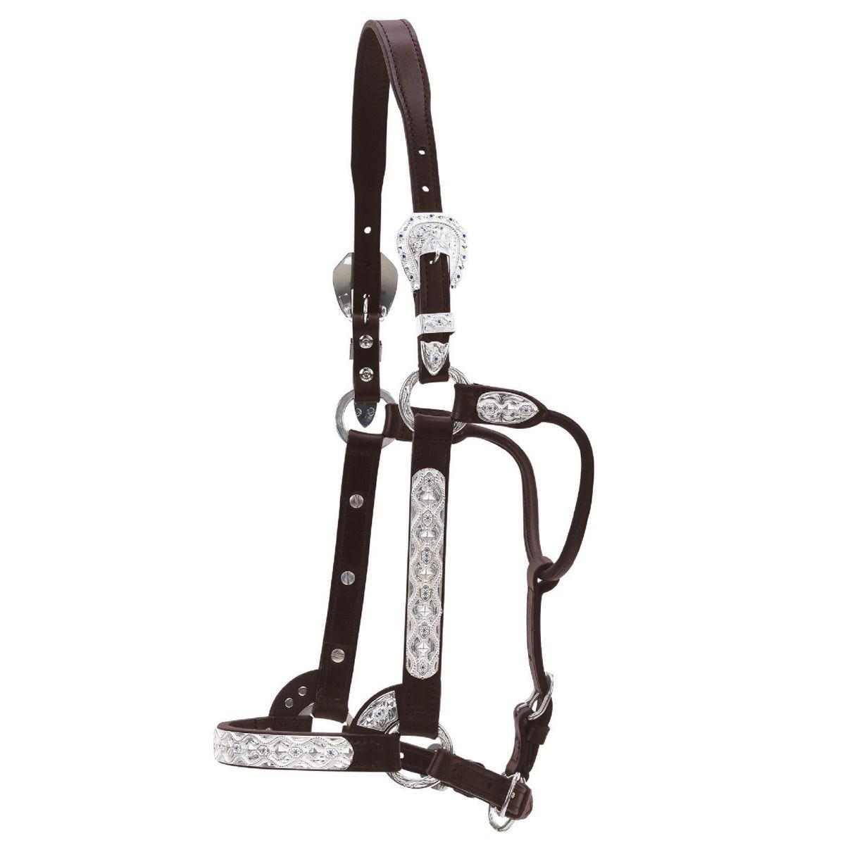 Flower And Blue Stone Show Halter by Circle Y
