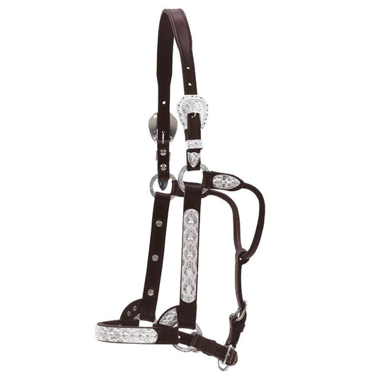 Flower And Blue Stone Show Halter by Circle Y