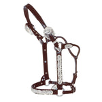 Berry Edge Show Halter by Circle Y