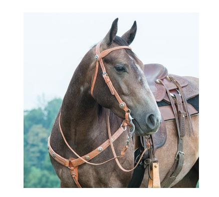 Texas Star Russet Browband Headstall
