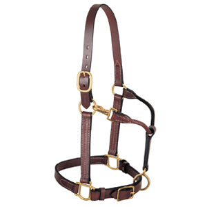 3-in-1 All Purpose Halter, 1" Horse