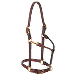 Double Buckle Crown Halter, 3/4" Horse