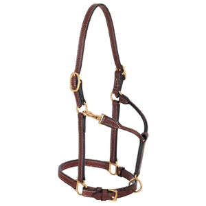Double Buckle Crown Halter, 3/4" Horse
