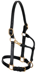 Track Halter, 1" Horse