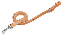 Horizons Tie Down Strap