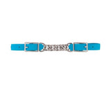 Brahma Webb Curb Strap